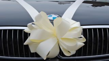 Ribbons on Cars for Weddings via Carsdzone