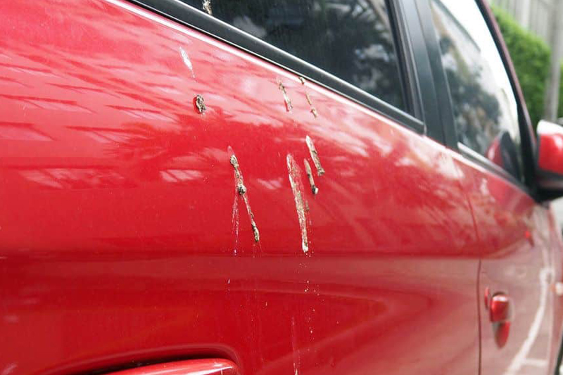 How to Get Paint Scuff Off Your Car